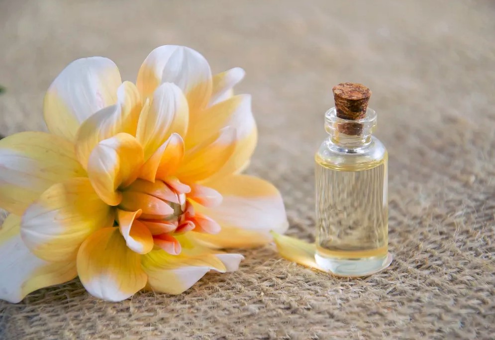 Essential Oils Vetiver Benefits