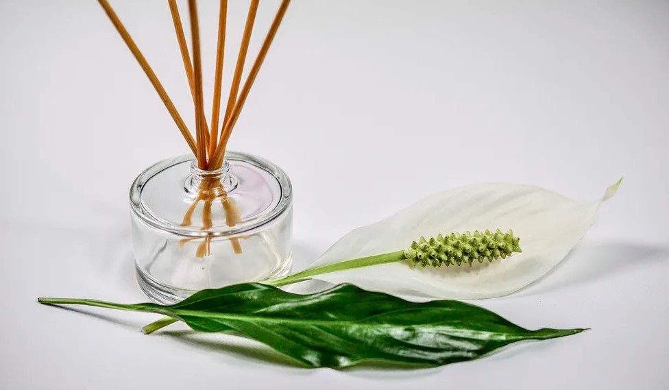 neroli essential oil